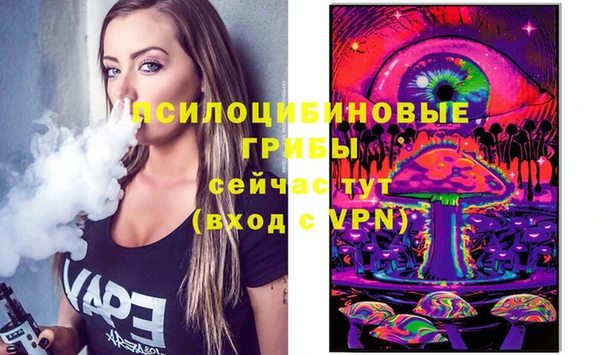 синтетический гашиш Богородск