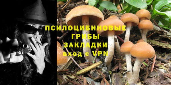 каннабис Богданович