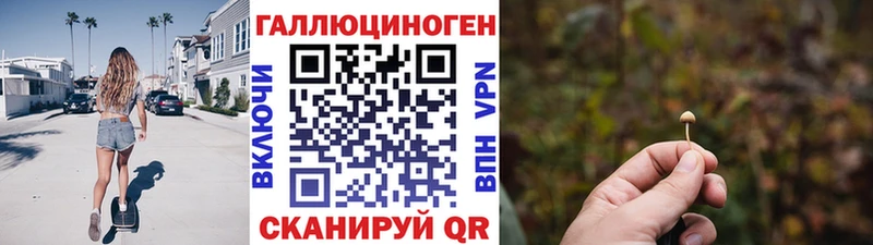 Псилоцибиновые грибы Psilocybe  Волжский 